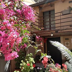 Mizzicahome Solemare CTA